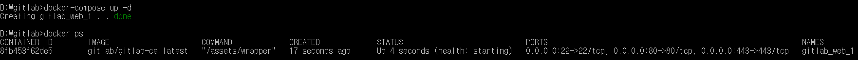 Docker run and check image
